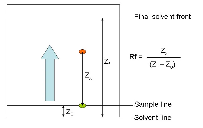 Rf value calculation